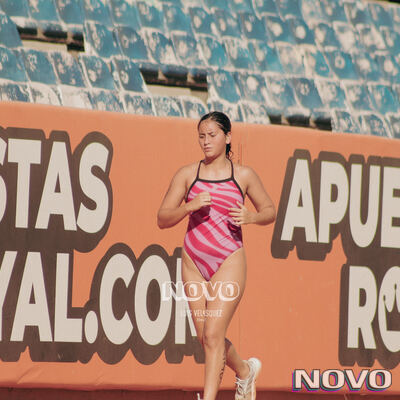 Foto 582